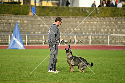 Emy vom Dahlhauser Schloßpark