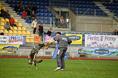 Emy vom Dahlhauser Schloßpark