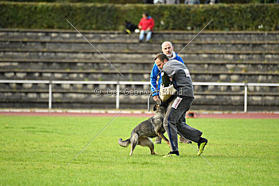 Emy vom Dahlhauser Schloßpark