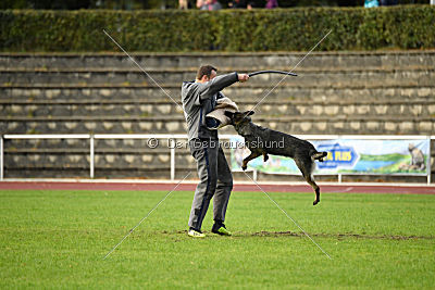 Emy vom Dahlhauser Schloßpark