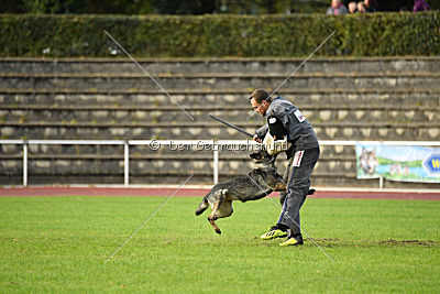 Emy vom Dahlhauser Schloßpark