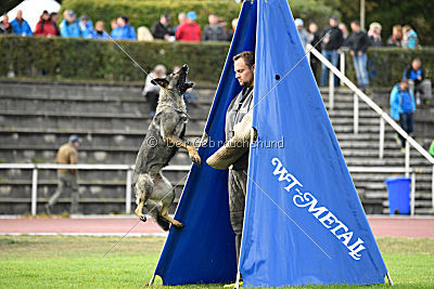 Emy vom Dahlhauser Schloßpark