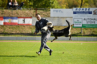 Emy vom Dahlhauser Schloßpark