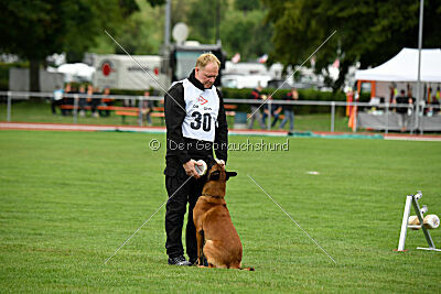 Enzo vom Buxtehuder Bullen