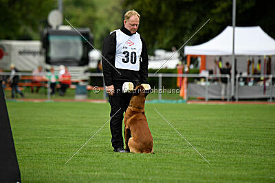 Enzo vom Buxtehuder Bullen