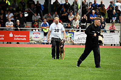 Enzo vom Buxtehuder Bullen
