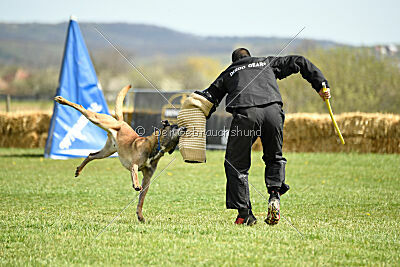 Erco primus Proeliator