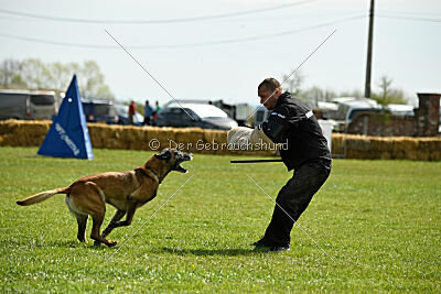 Erco primus Proeliator