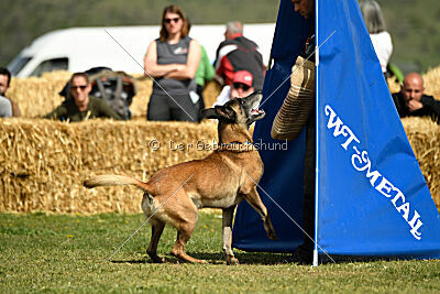 Erco primus Proeliator