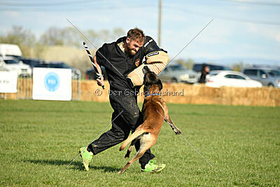 Erco primus Proeliator