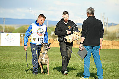 Erco primus Proeliator