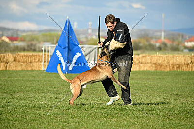 Erco primus Proeliator