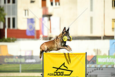 Erco primus Proeliator