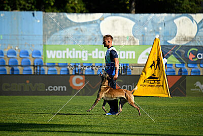 Erco primus Proeliator