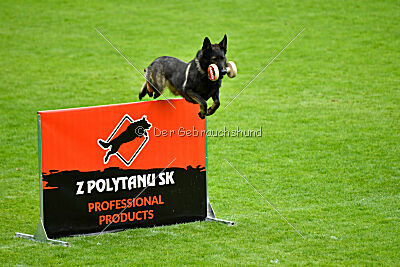 Erhard of Spirit Tom