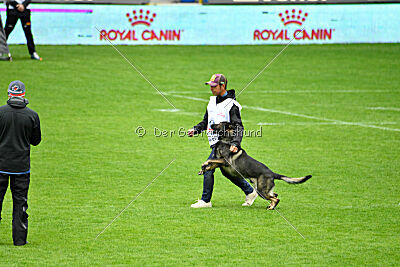 Erhard of Spirit Tom