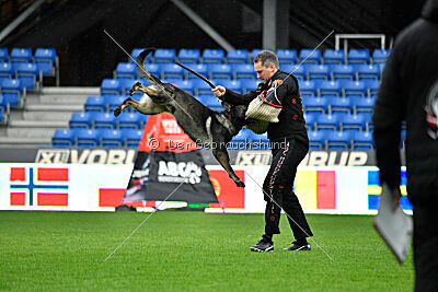 Erhard of Spirit Tom