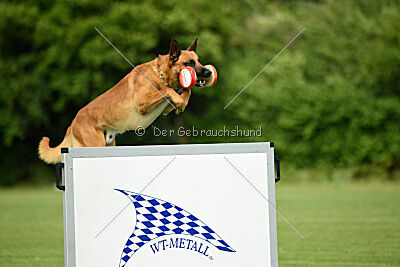 Erik vom roten Drachen