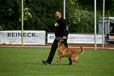 Erik vom roten Drachen