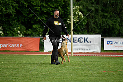 Erik vom roten Drachen