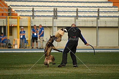 Erja-Ella Marshall Dogs