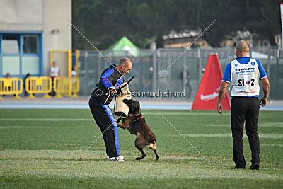 Erja-Ella Marshall Dogs