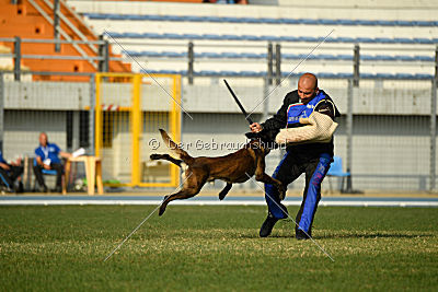 Erkan Arcanis