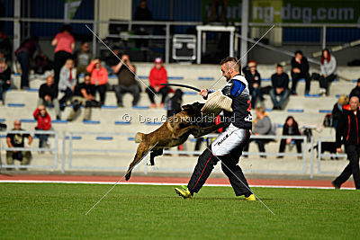 Erkan Arcanis