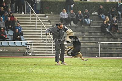 Eron von der Mohnwiese