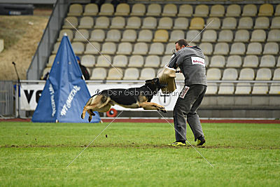 Eron von der Mohnwiese