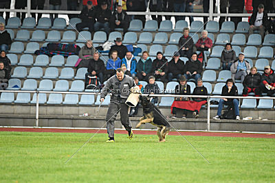 Eron von der Mohnwiese