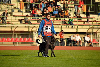 Eros Fly Dogy Attak
