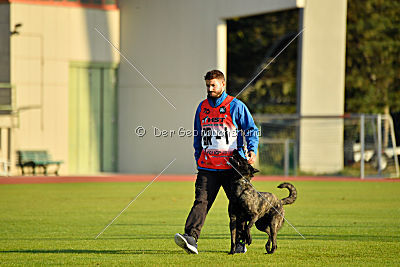 Eros Fly Dogy Attak