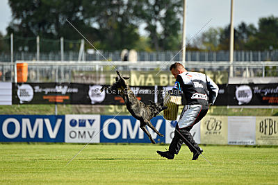 Eros Fly Dogy Attak