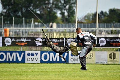 Eros Fly Dogy Attak