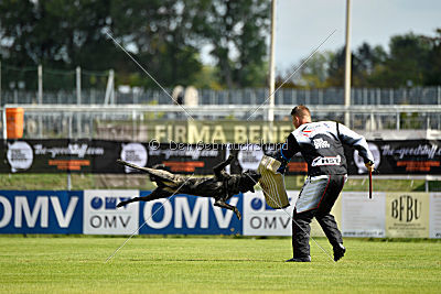 Eros Fly Dogy Attak