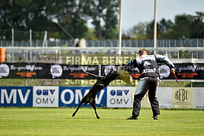 Eros Fly Dogy Attak