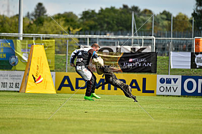 Eros Fly Dogy Attak