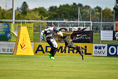 Eros Fly Dogy Attak