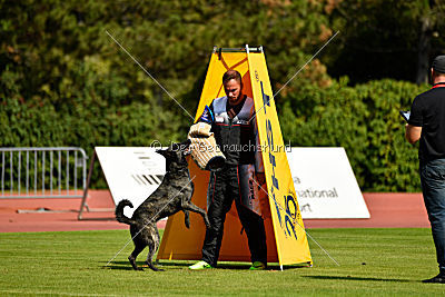 Eros Fly Dogy Attak