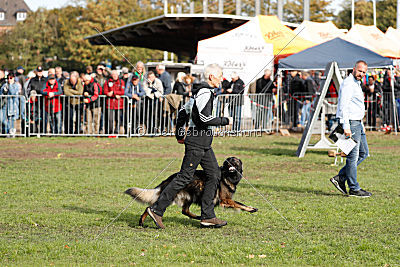 Eschna von Schloß Bothmer