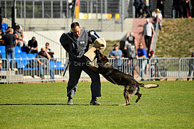 Esh von der schwarzen Irma