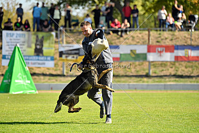 Esh von der schwarzen Irma