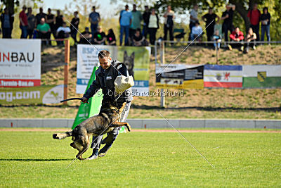 Esh von der schwarzen Irma