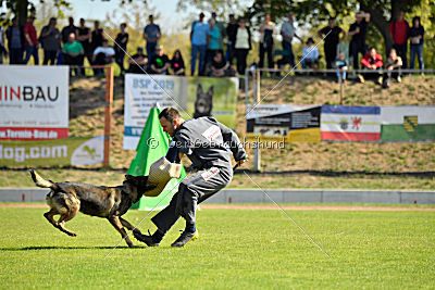 Esh von der schwarzen Irma