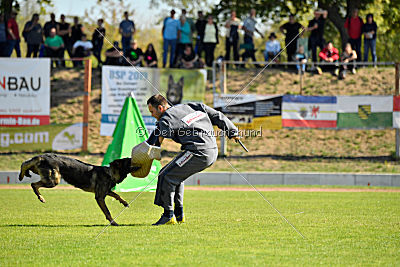 Esh von der schwarzen Irma