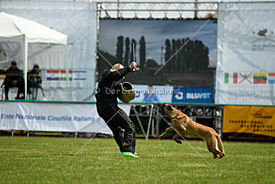 Esperanza Exe de Marina de los Molinos