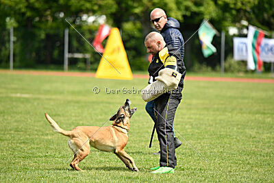 Esperanza Exe de Marina de los Molinos