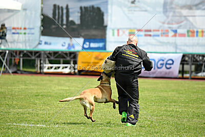 Esperanza Exe de Marina de los Molinos