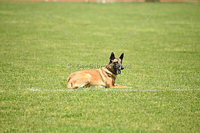 Esperanza Exe de Marina de los Molinos